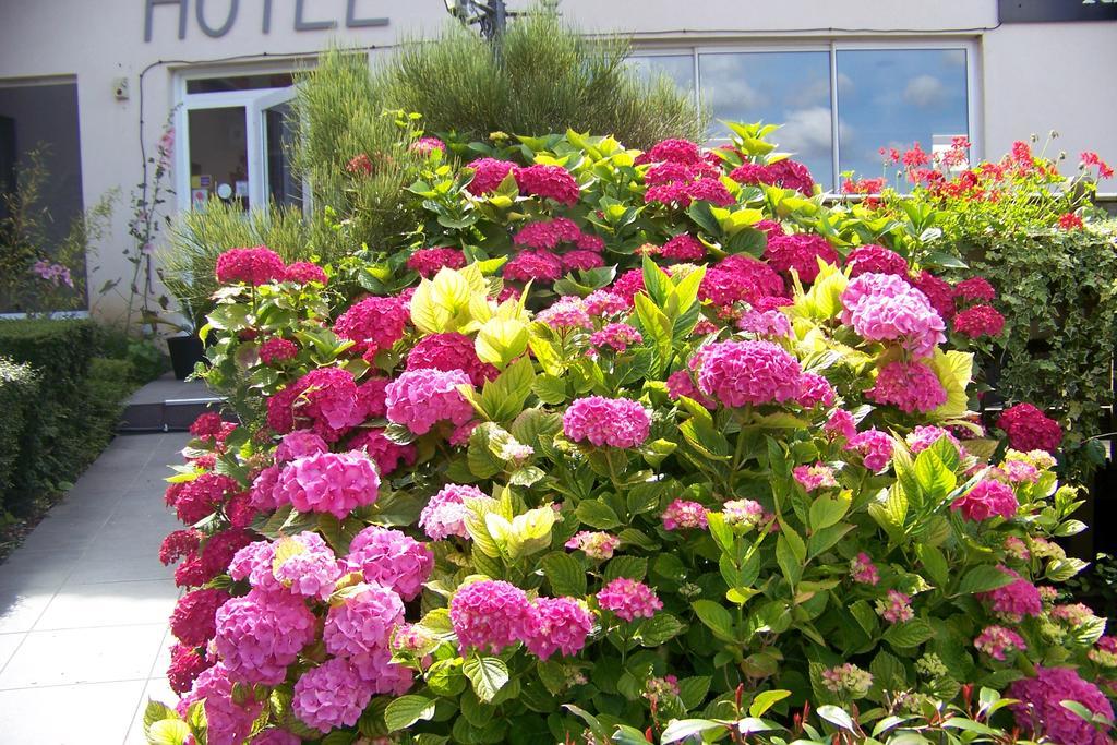 Hotel Bal Tournehem Kültér fotó